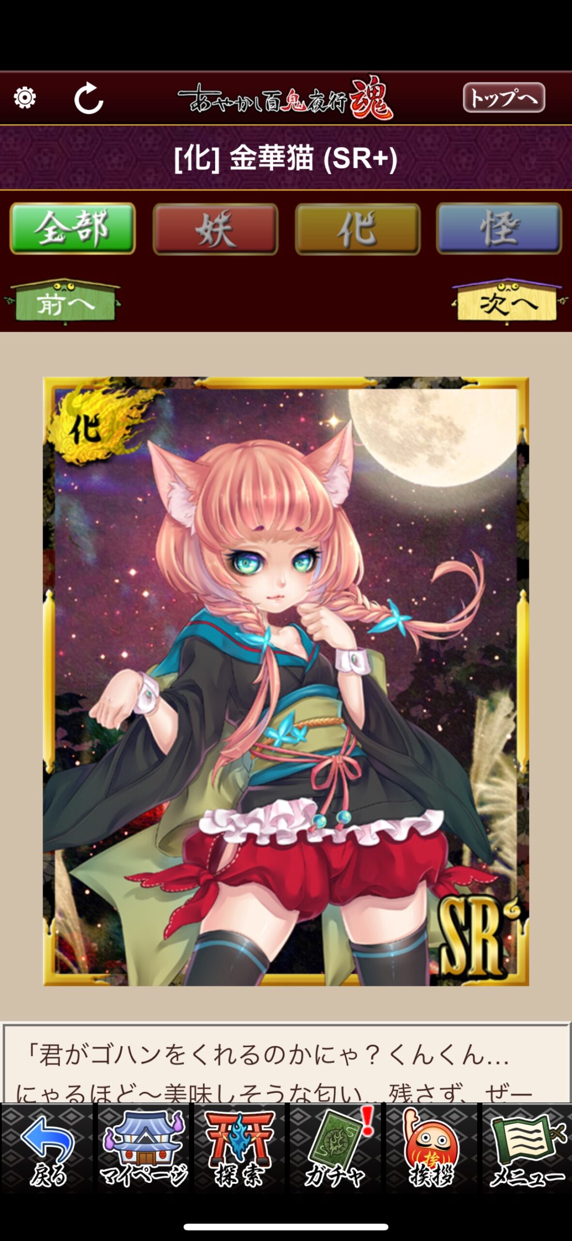 金華猫