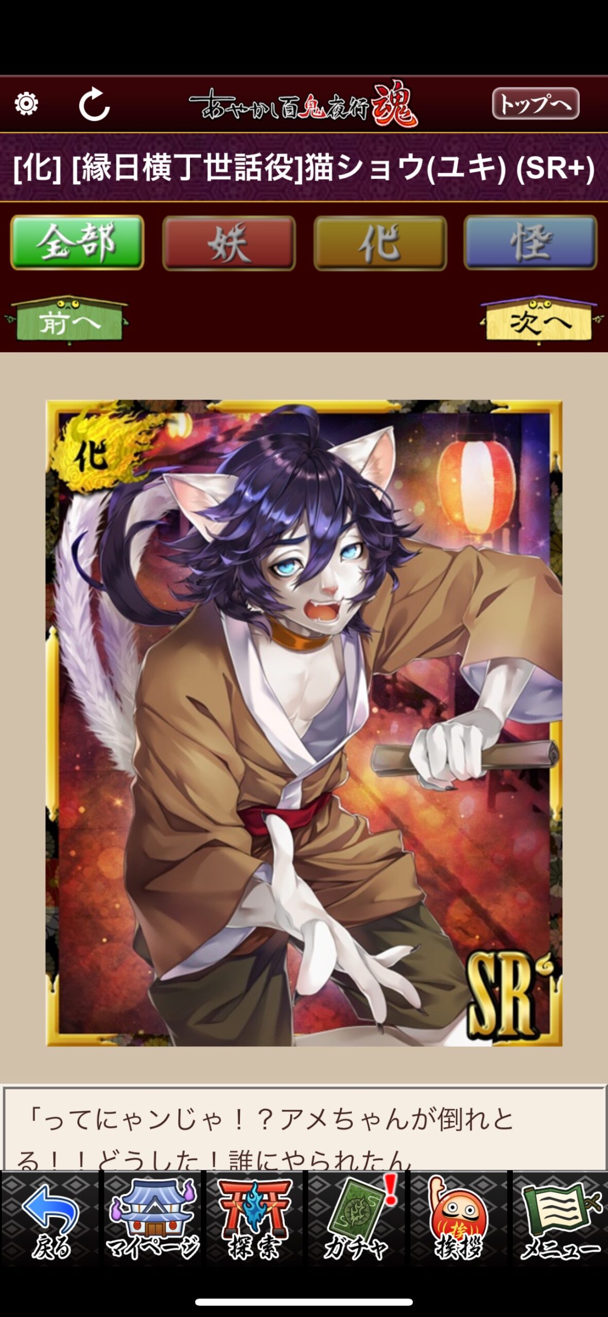 [縁日横丁世話役]猫ショウ（ユキ）