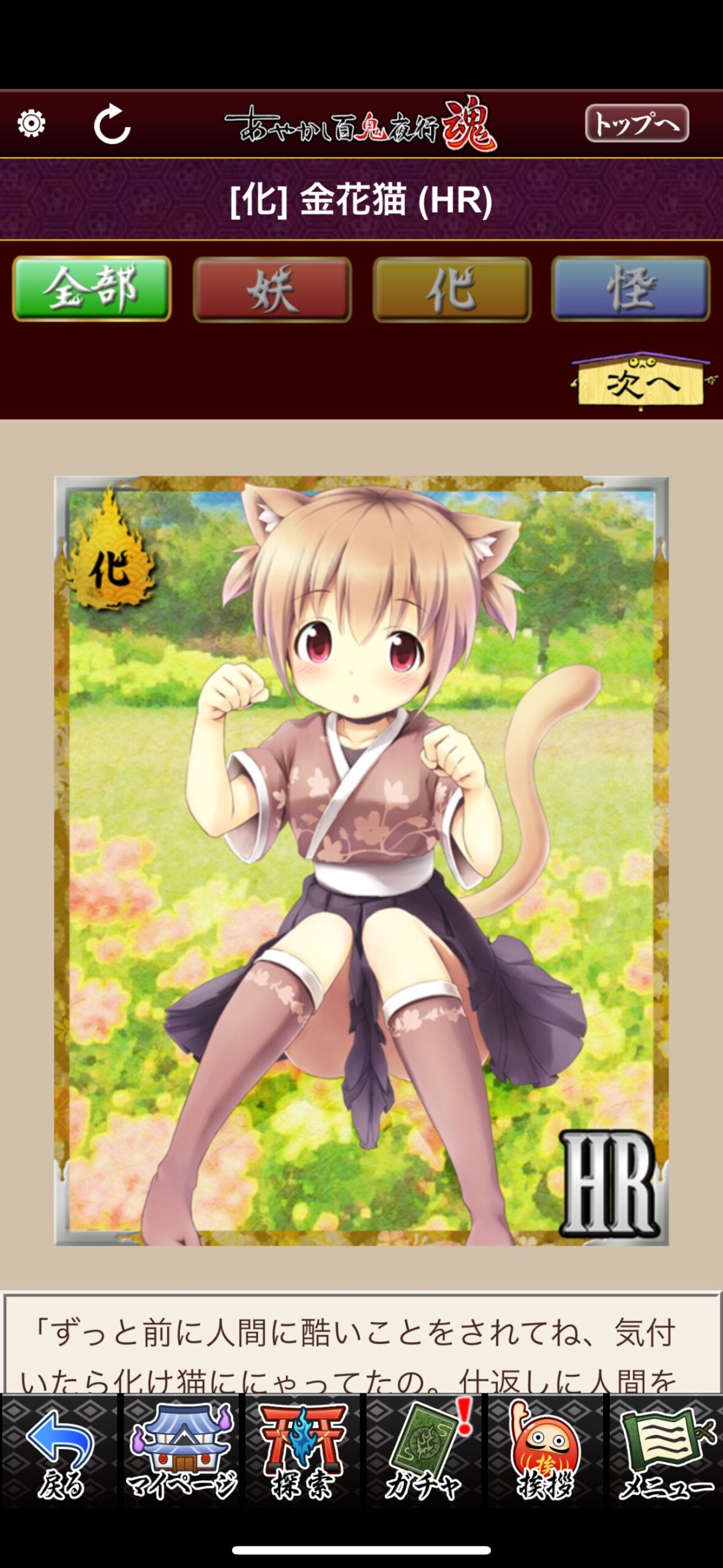 金花猫