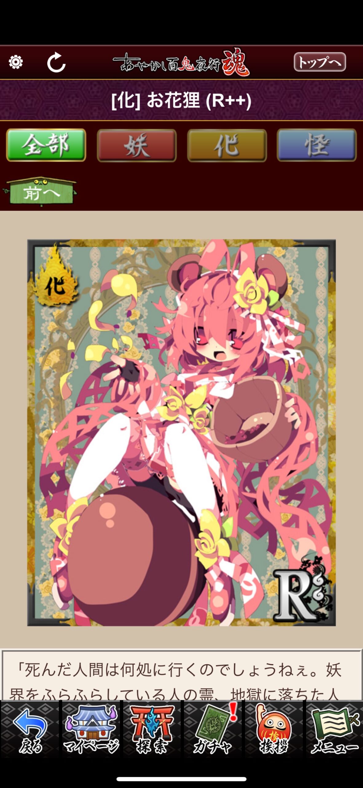 お花狸