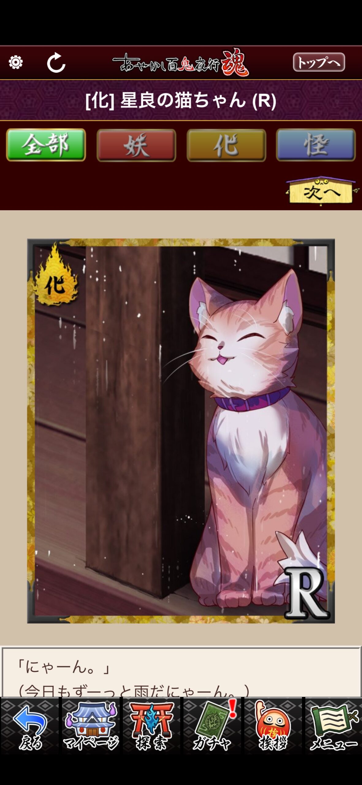 星良の猫ちゃん